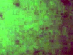 amateur compilation of fellatio caresses and anal with music