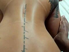 Hard Cock Sits With Force!