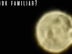 Celebrity Expectations Versus Harsh Reality in Life