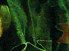 Mov 0046 captures unique motion