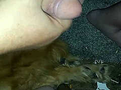 Solo play with small cock