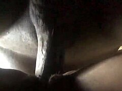 Ace Boogie shows big ass