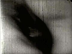 Tales from a Victorian Boudoir Unveiled