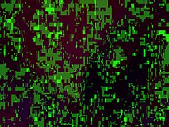 Snowbunny with shaved features in intriguing pose