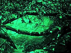 Dark Lantern Entertainment Presents The Dragonfly Freddie