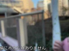 Squeezing and squirting: A Japanese wife's experience on a girl's trip