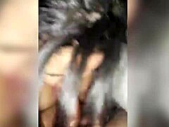 Young Brazilian Wife Gives Delicious Blowjob To Husband In Maringa Thailand-Parana Pair