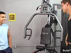 they're fucking asses hard in the gym, sucking cocks too