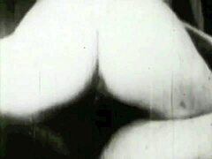 Dark lantern presents vintage hairy antique porn