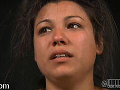 Ever wonder what dark secrets hide in bondage clips?