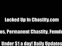 Hope you don't get hard in chastity?