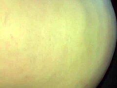 tango spruce in a lively latin dance 😎