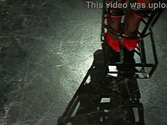 tied up redhead and blonde scream in pleasure!