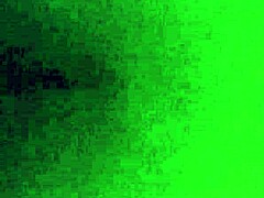 ebony phat booty thot screams in doggstyle on monster black cock 😈