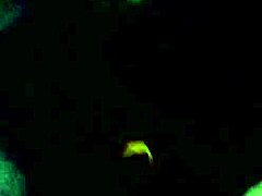 vid 20130619 211050 sloppy ebony blowjob