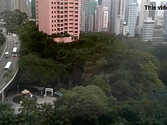 i love my maid duties