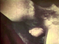 dark lantern presents the dragonfly 😊