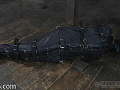 a submissive endures intense sadomasochism in this hardcore porn video.