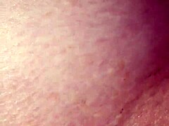 Plays alone with the tail