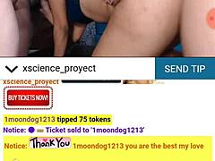 una perrita venezolana en grupo