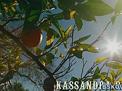 Pornstar Feels Intense Pleasure Jerking Big Black Cock to Cum in Mouth