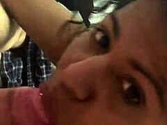 Sucking White Cock For My Friend