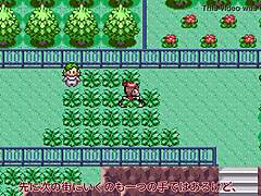 Slow Commentary: All Pokemon Appear in Sapphire Part 14