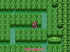 Slow Commentary: All Pokemon Appear in Sapphire Part 14