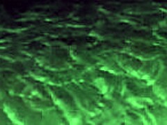 Paraná prostitute Cris screams on thick rod while cuckold films her wild ride.