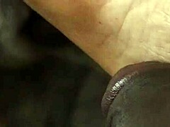 sharing my indian wife in everyday moments