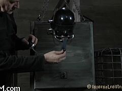 Just a simple video number 005, nothing special here 😊