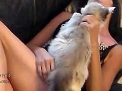 Sensual Latina Girl Masturbates in High Heels