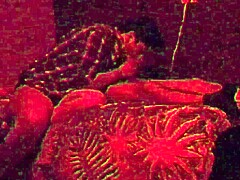 Hanging Out With My Straight Married Friend Pt4