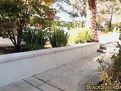 Have you seen this teen Latina riding a big black cock in her bikini?