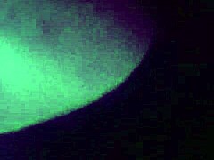 watch the white girl take that big black cock doggystyle