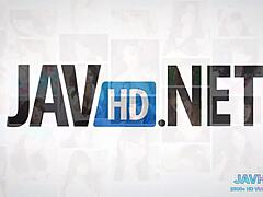 I Fuck Japanese Chick in Stockings Volume Seven