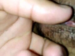 Cam00725 Mexican Video Capture