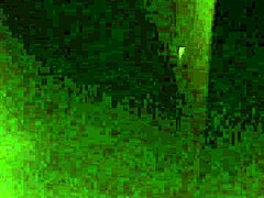 my sister-in-law and i in amateur prostitute setting