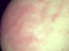 Big ass girlfriend riding dick intriguingly