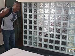 Wow, Interracial Action with Blonde Big-Ass Monique Lopes and Alex Lima!