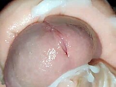 धड़कता लंड वेजलाइन सेशन में ट्विंक गंद के साथ और कुम मशीन