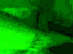 Chubby Amateur's Steamy BJ and Finger Play