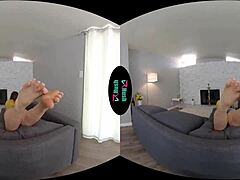 Tease me before playing with toys!