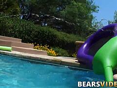 Hairy bears giving oral and having raw sex