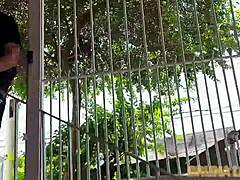 Montador safado COME a Bruna como pagamento, Richards Oliver style