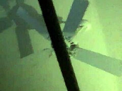 a story of huge assets