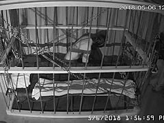 Gay bound in cage cam feed