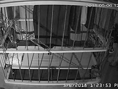 Gay bound in cage cam feed