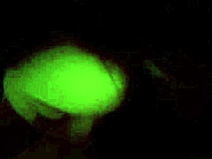 alessa savage gets massive cock in tight pussy