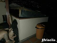 Hot Latina lovers, bang me doggystyle outdoors under the stars!